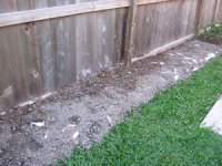 tn_East side of house 003.JPG