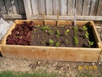 Garden Box #1.jpg