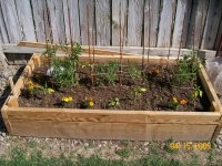 Garden Box #2.jpg
