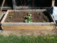 Garden Box #3.jpg
