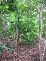 18-4-09_019.jpg