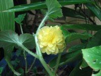 18-4-09_004.JPG