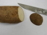 tator.jpg