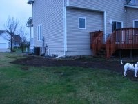 West side of deck bed.JPG