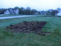 North side of border garden.JPG