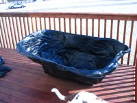 New pond shell.JPG