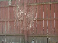 web resized.jpg