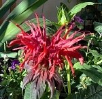 tn_8-26-08 046.jpg