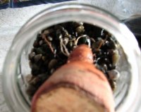 swe tat onside jar .jpg