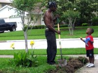 tn_New Flower Beds 020.JPG
