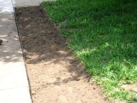tn_New Flower Beds 021.JPG