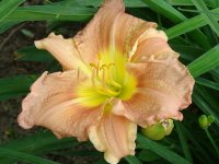 tn_May13, 2009 005.JPG