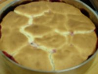 tn_blackberries 004.JPG