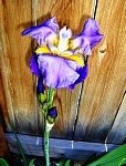 tn_6-17-08 003.jpg