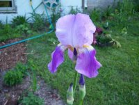 100_2577.jpg