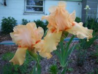 100_2579.jpg