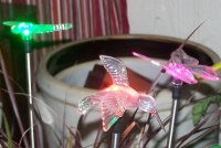 lights 2.jpg