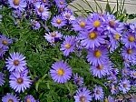 tn_9-19-08 009.jpg