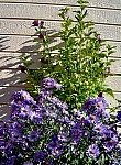 tn_9-19-08 051.jpg