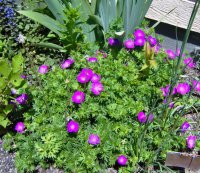 May 24 09 021.jpg