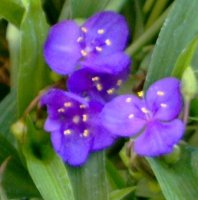 7-27-08 030.jpg