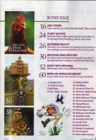 page 3-1.jpg