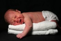 freshborn1.jpg