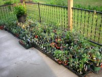 DSCN5219.jpg