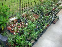 DSCN5220.jpg