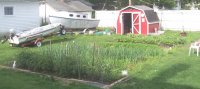 garden06042009.jpg