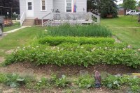 June2009 017.jpg