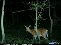 CDY_0016.jpg