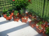 DSCN5329.jpg