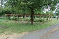 BerryPatch_0489.JPG