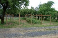 BerryPatch_0490.JPG