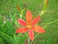 DSCN5305.jpg