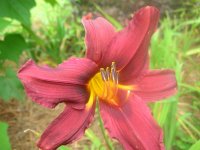 DSCN5307.jpg