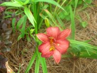 DSCN5308.jpg