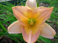 DSCN5222.jpg