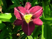 DSCN5260.jpg