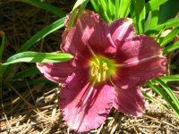 DSCN5182.jpg