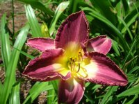 DSCN5184.jpg