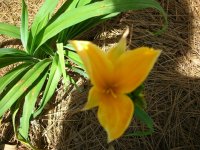 DSCN5185.jpg