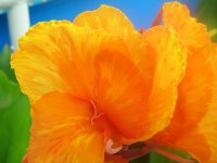 DSCN5313.jpg