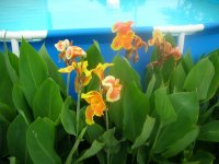 DSCN5314.jpg