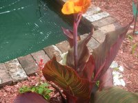 DSCN5317.jpg