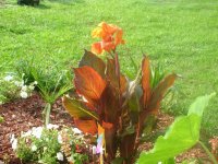 DSCN5328.jpg