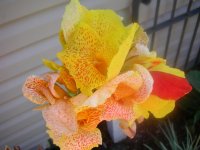 DSCN5301.jpg