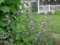 DSCN5310.jpg