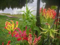DSCN5311.jpg